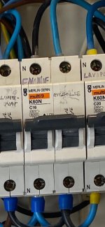 IMG_0052.jpeg