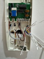 IMG_2854 (1).jpg