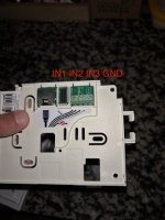 IMG_3580.jpeg