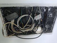 1000071651.jpg