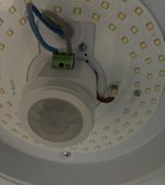 IMG_3339.jpeg