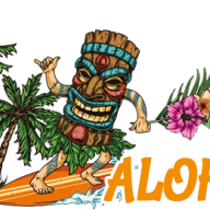 nflhawaiianshirt