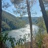 VicVega